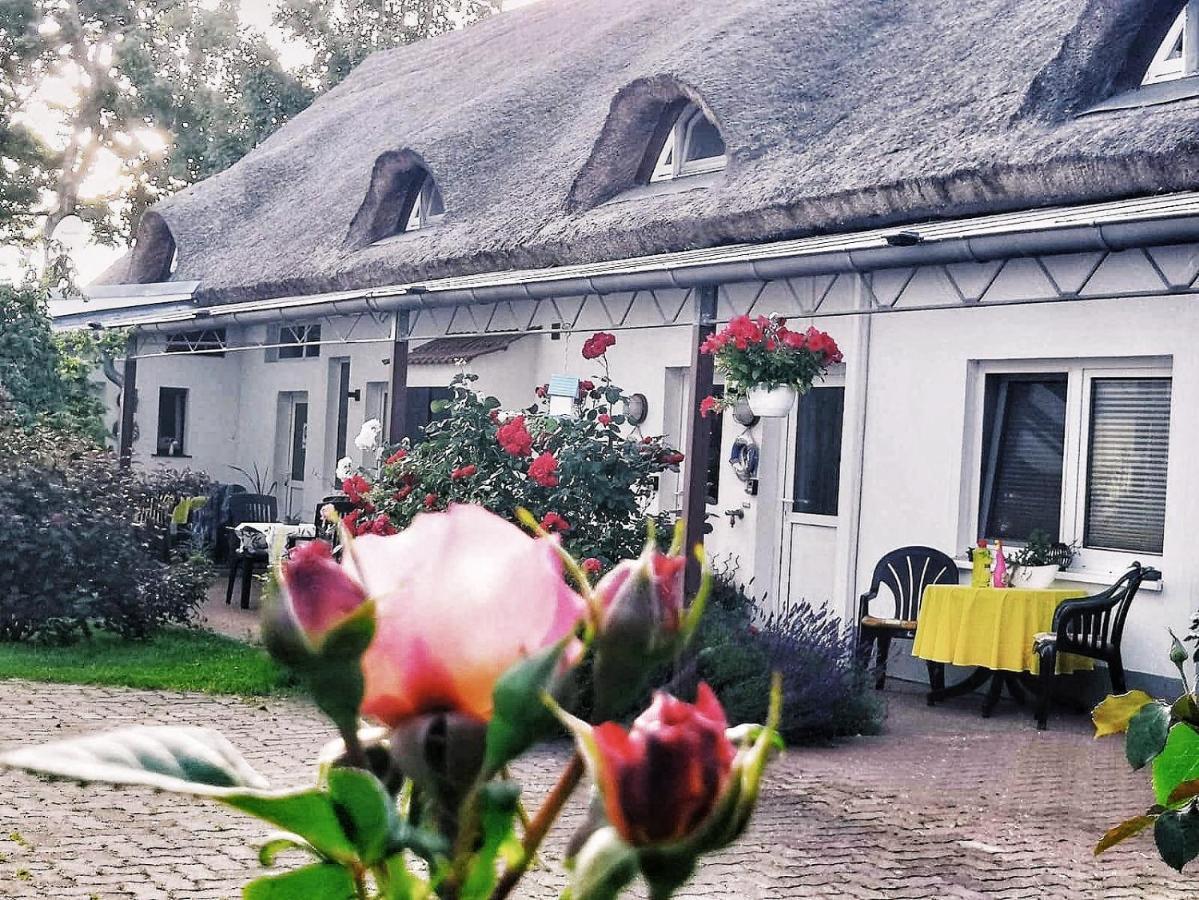 Reet Landhaus Ruegen Ummanz Exterior foto